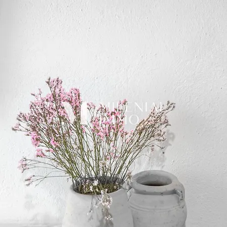 Milenial Immo - Refugio Boutique En El Corazon De Cadaqués
